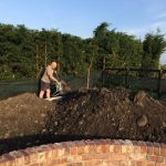 Garden Topsoil in Haskayne  Helps Your Plants Thrive