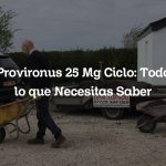 Provironus 25 Mg Ciclo: Todo lo que Necesitas Saber