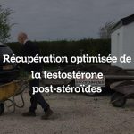 Récupération optimisée de la testostérone post-stéroïdes
