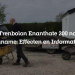 Trenbolon Enanthate 200 na Inname: Effecten en Informatie