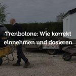 Trenbolone: Wie korrekt einnehmen und dosieren