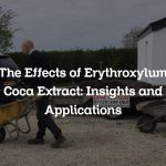 The Effects of Erythroxylum Coca Extract: Insights and Applications