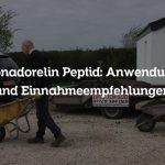 Gonadorelin Peptid: Anwendung und Einnahmeempfehlungen