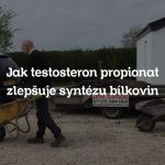 Jak testosteron propionat zlepšuje syntézu bílkovin