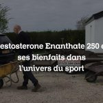 Testosterone Enanthate 250 et ses bienfaits dans l’univers du sport