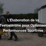 L’Élaboration de la Testostérone pour Optimiser Performances Sportives