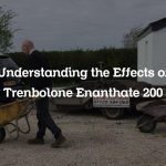 Understanding the Effects of Trenbolone Enanthate 200