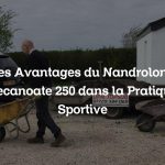 Les Avantages du Nandrolone Decanoate 250 dans la Pratique Sportive